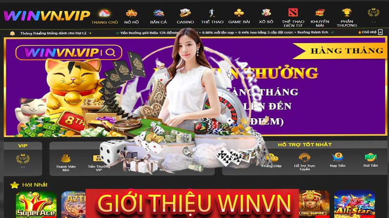 Giới thiệu Winvn